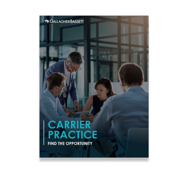 US_GB-Carrier-Practice-Overview_Final-Low-Res_2
